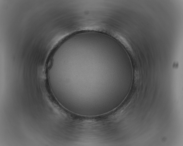 X0000092220628200709281044