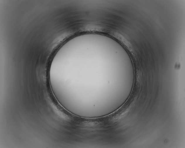 X0000092220629200709281044