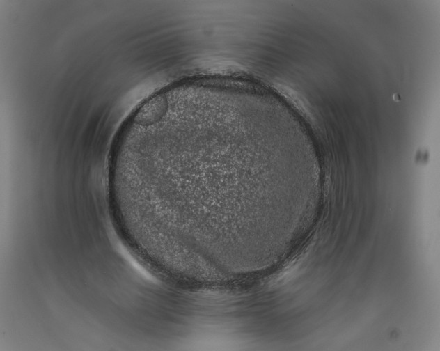 X0000092220630200709281044