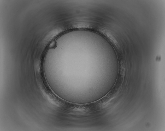 X0000092220631200709281044