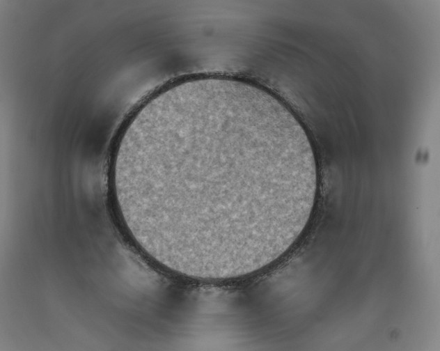 X0000092220632200709281044