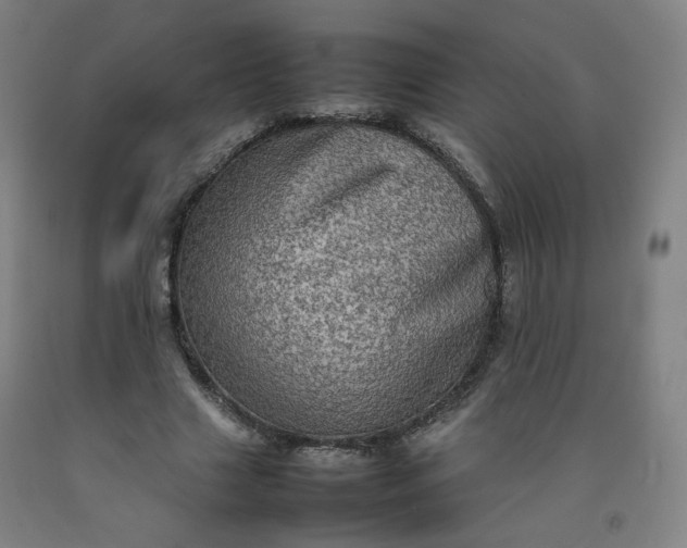 X0000092220633200709281044