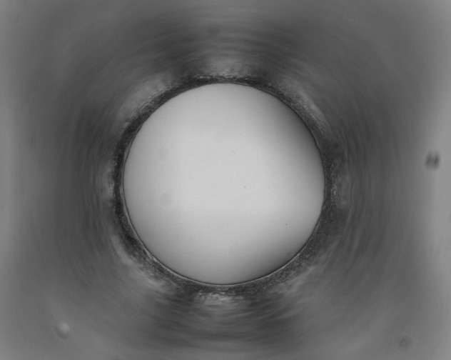 X0000092220635200709281044