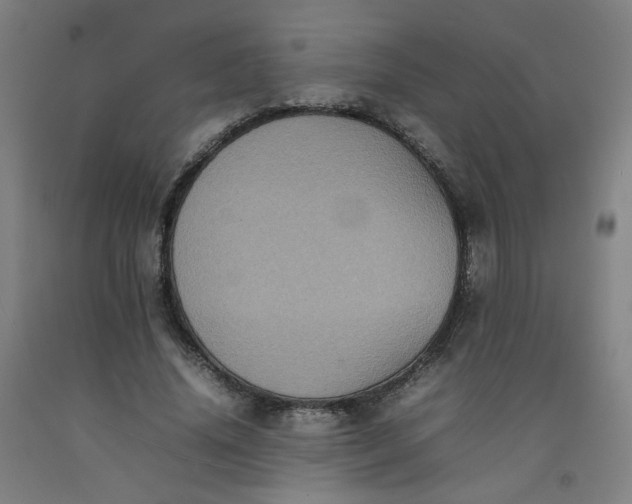 X0000092220636200709281044