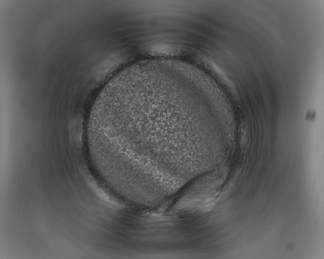 X0000092220637200709281044
