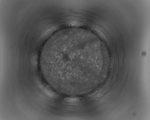 X0000092220639200709281044