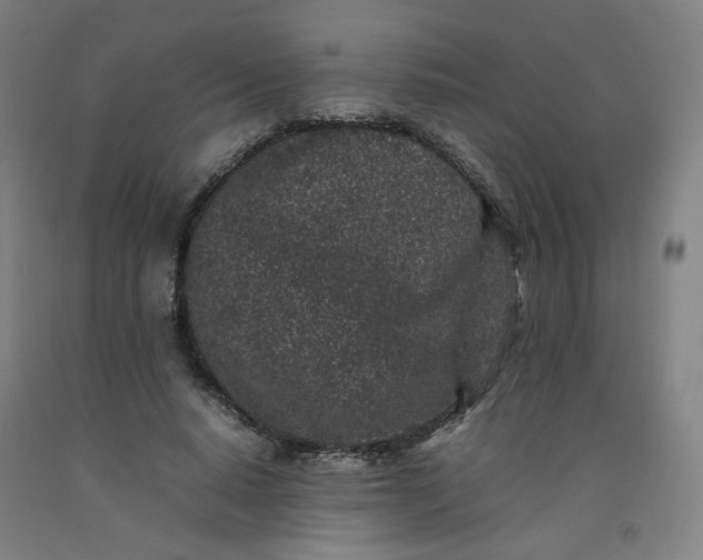 X0000092220640200709281044