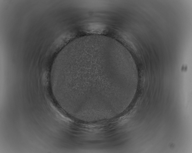 X0000092220641200709281044