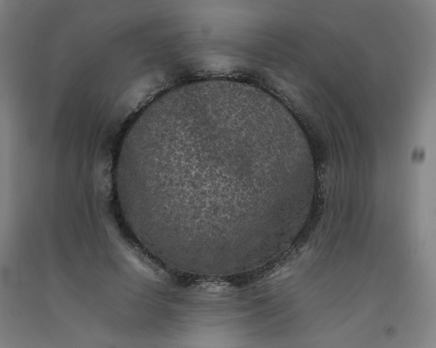 X0000092220642200709281044