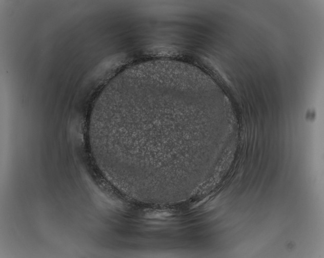 X0000092220643200709281044