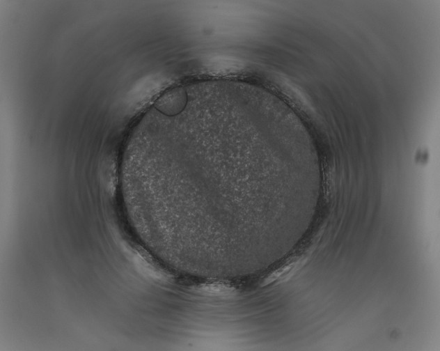 X0000092220644200709281044