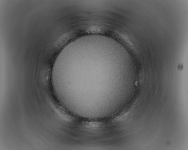 X0000092220645200709281044