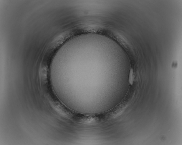 X0000092220646200709281044