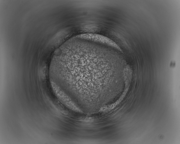 X0000092220647200709281044