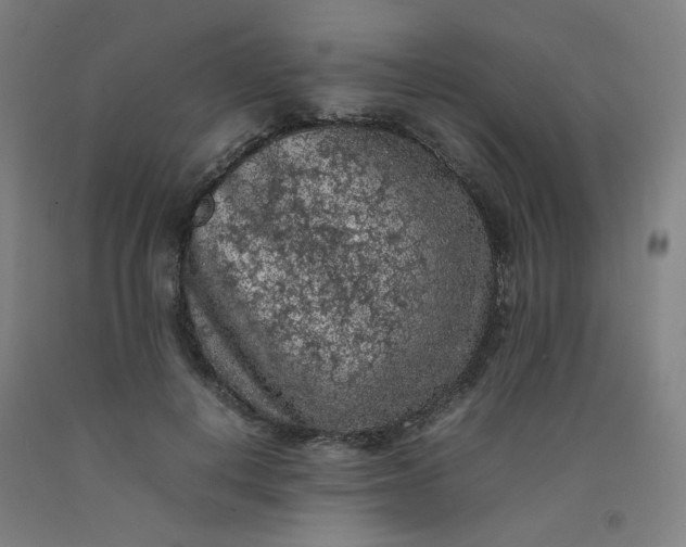 X0000092220648200709281044