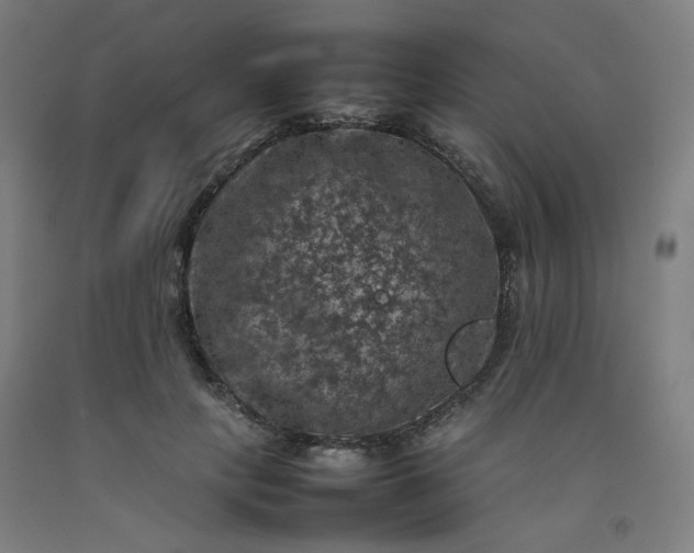 X0000092220649200709281044