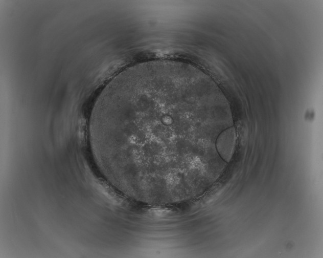 X0000092220650200709281044