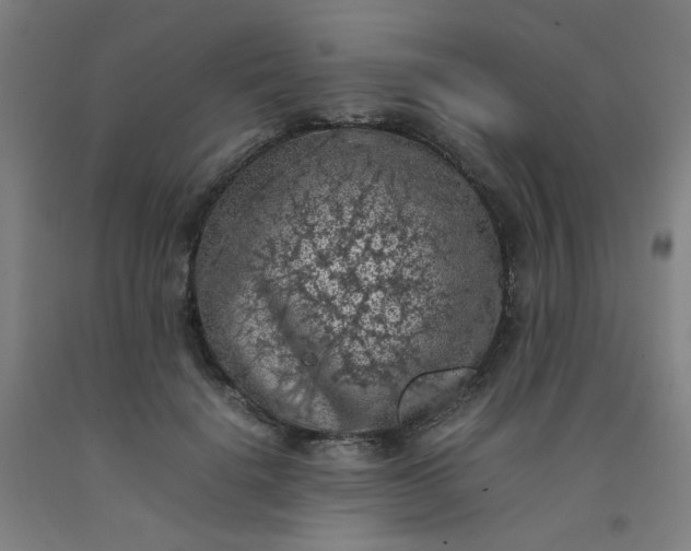 X0000092220652200709281044