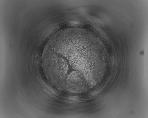 X0000092220653200709281044