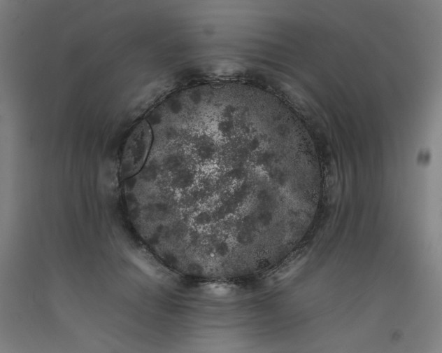 X0000092220654200709281044