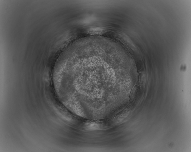 X0000092220655200709281044