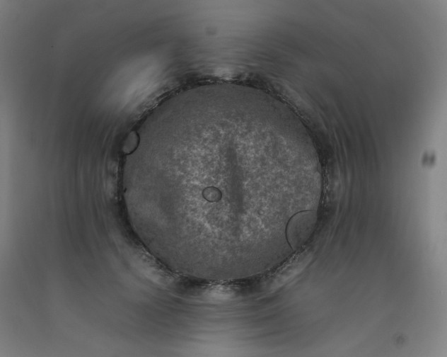 X0000092220656200709281044