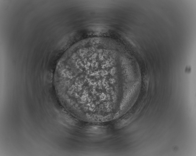 X0000092220657200709281044