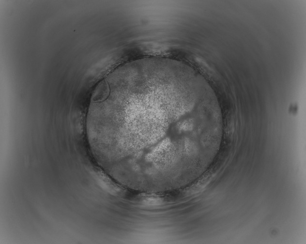 X0000092220658200709281044