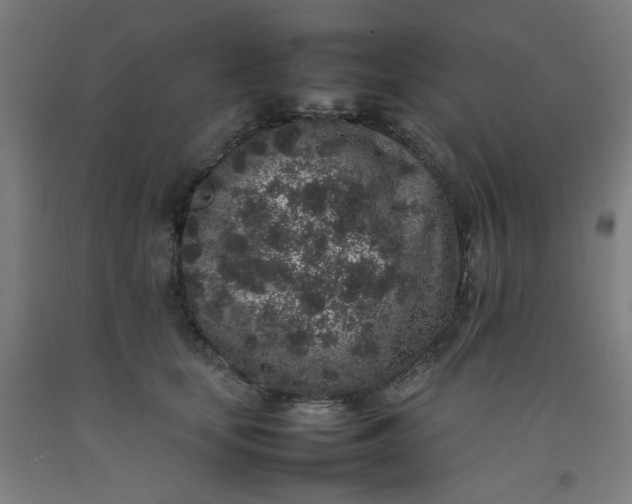 X0000092220659200709281044