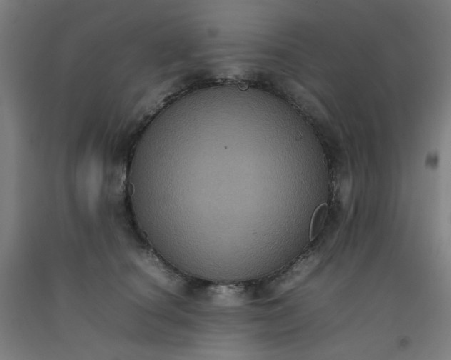 X0000092220660200709281044