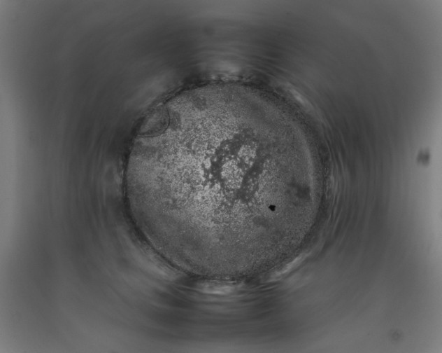 X0000092220661200709281044