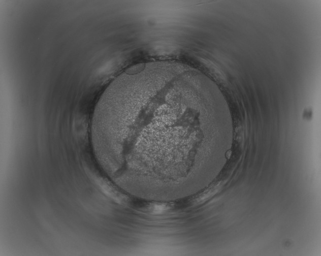 X0000092220662200709281044