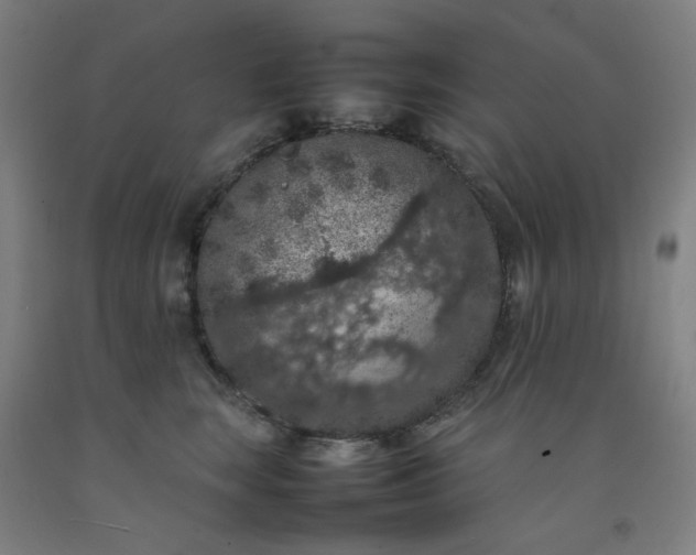 X0000092220663200709281044