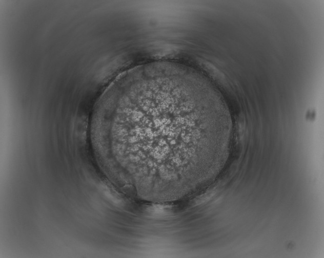 X0000092220664200709281044
