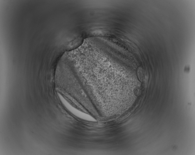 X0000092220665200709281044