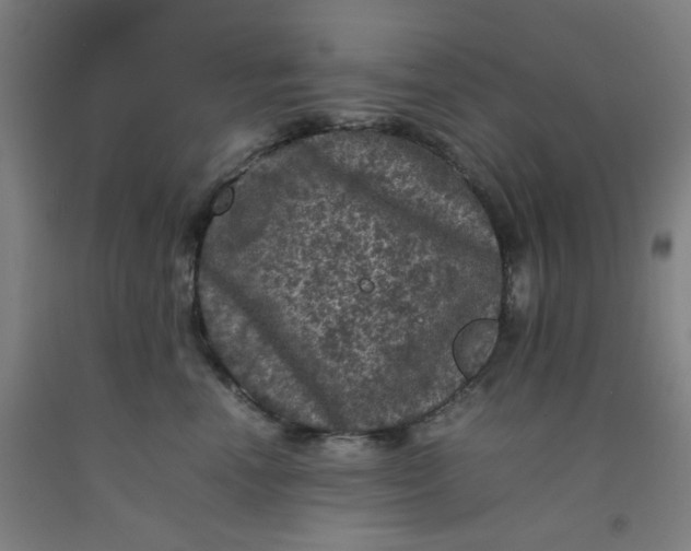 X0000092220666200709281044