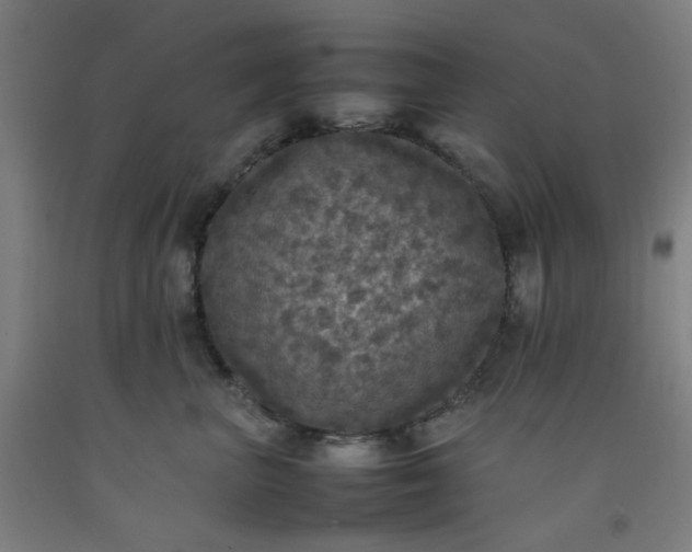 X0000092220667200709281044