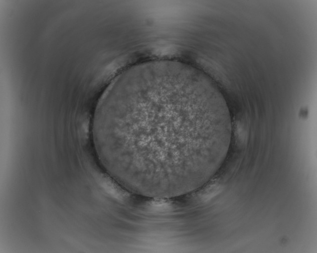 X0000092220668200709281044
