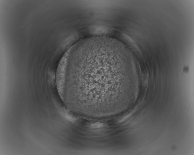 X0000092220669200709281044