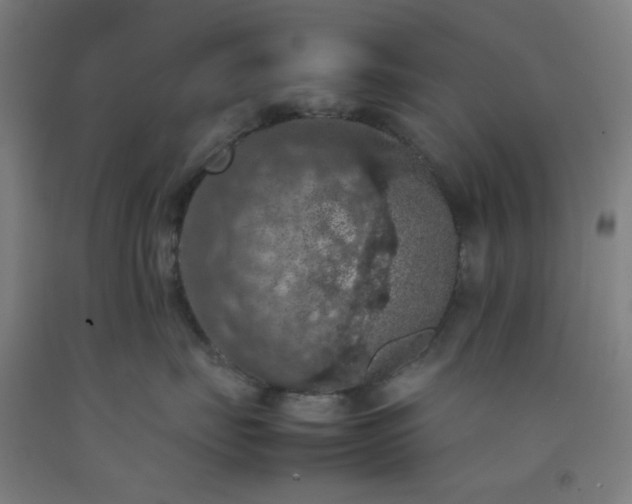 X0000092220671200709281044