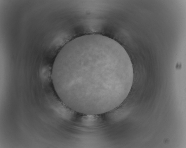 X0000092220672200709281044