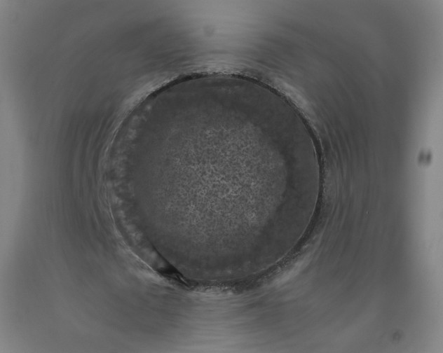 X0000092220673200709281044