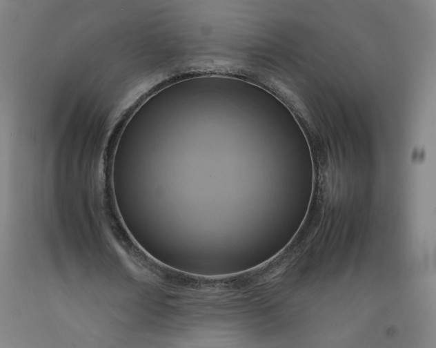 X0000092220674200709281044