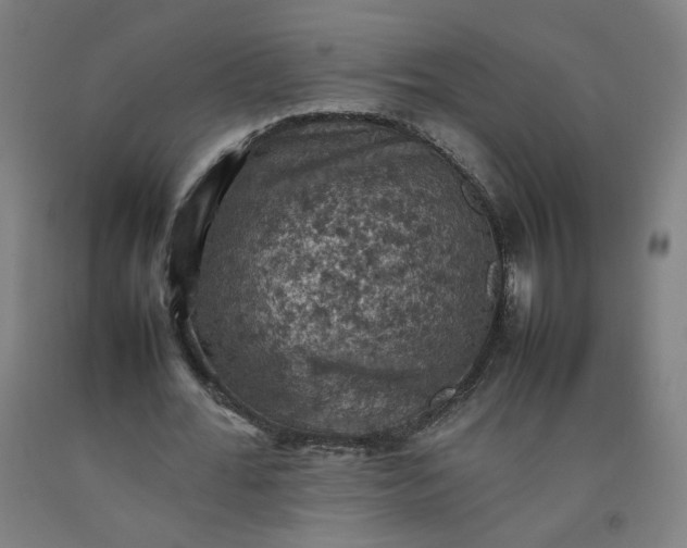 X0000092220676200709281044