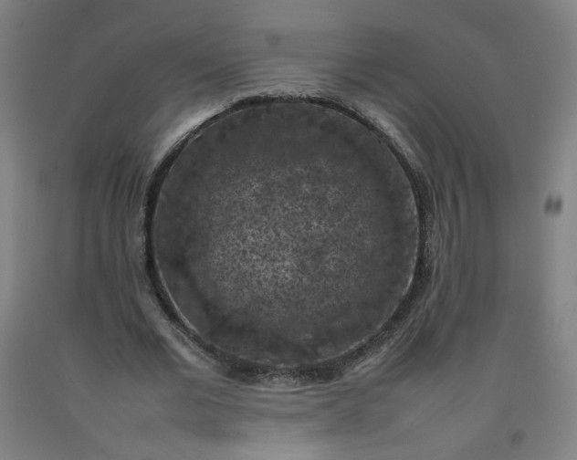 X0000092220677200709281044