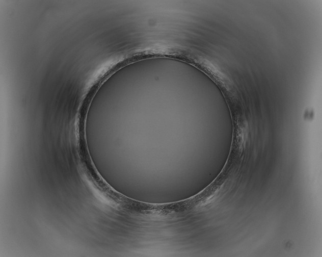 X0000092220678200709281044
