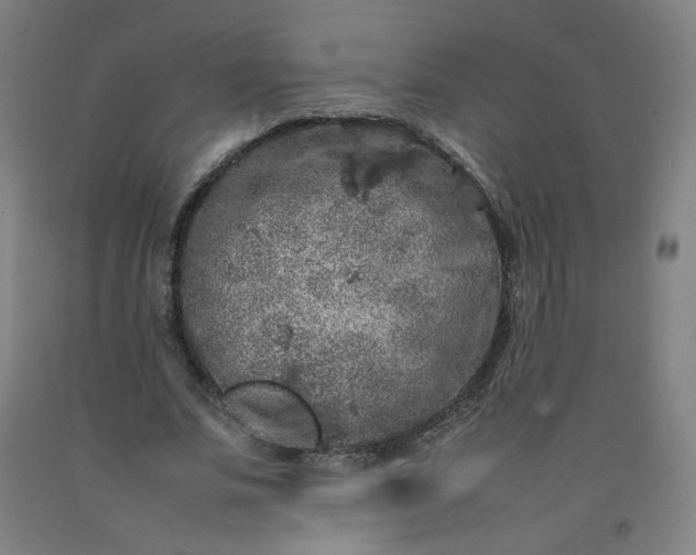 X0000092220679200709281044