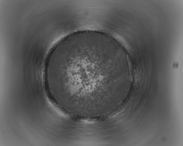 X0000092220680200709281044