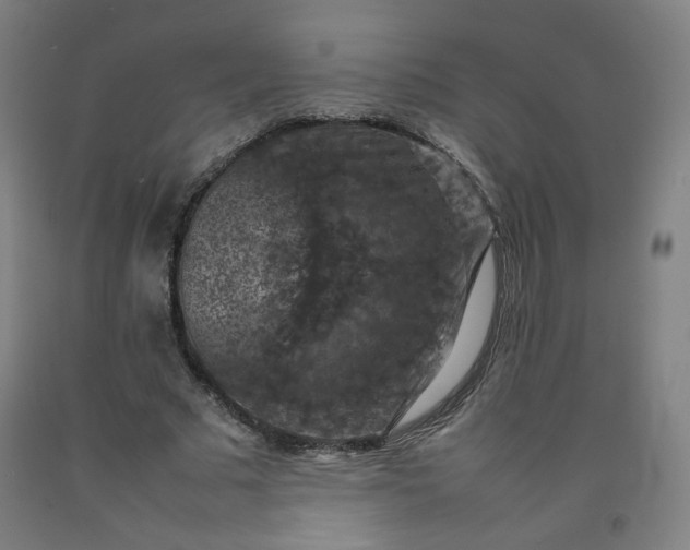 X0000092220681200709281043