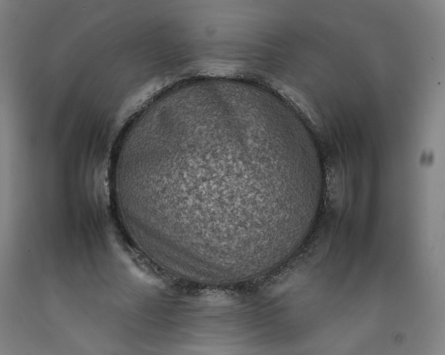 X0000092220682200709281043